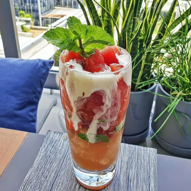 Watermelon Mint Sparkling Mocktail