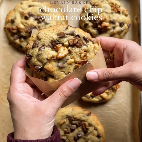Leavened chocolate walnut cookie with chocolate chunks and walnuts