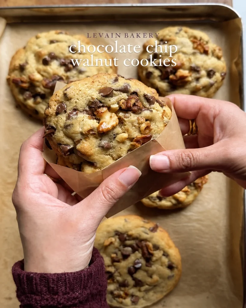 Leavened Chocolate Walnut Cookie